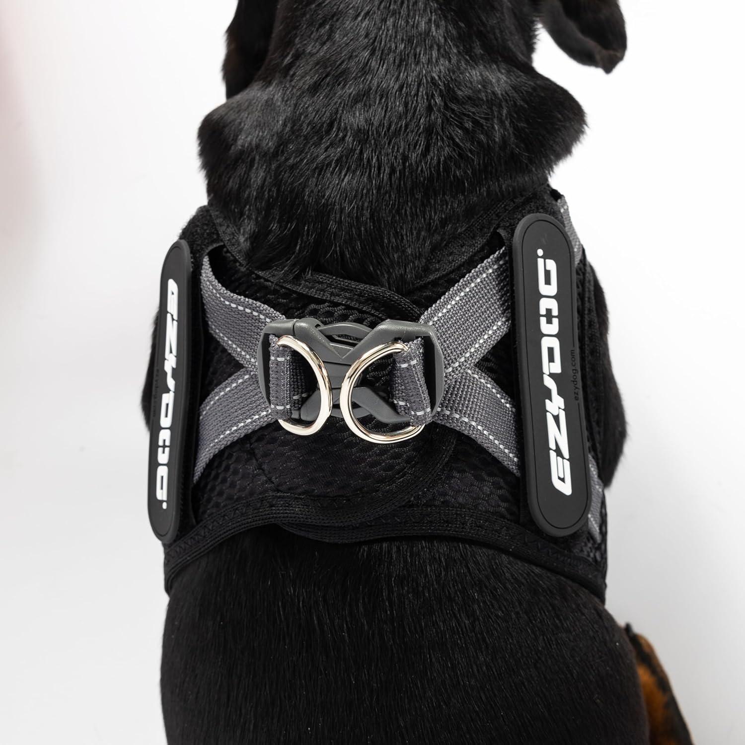 EzyDog FORMFIT Dog Harness for Small Sized Dog - All Weather Breathable Mesh Small Dog Harness with Reflective Trim, Easy Hook & Loop Closure, Sturdy Buckle, & D-Ring (Purple, M)