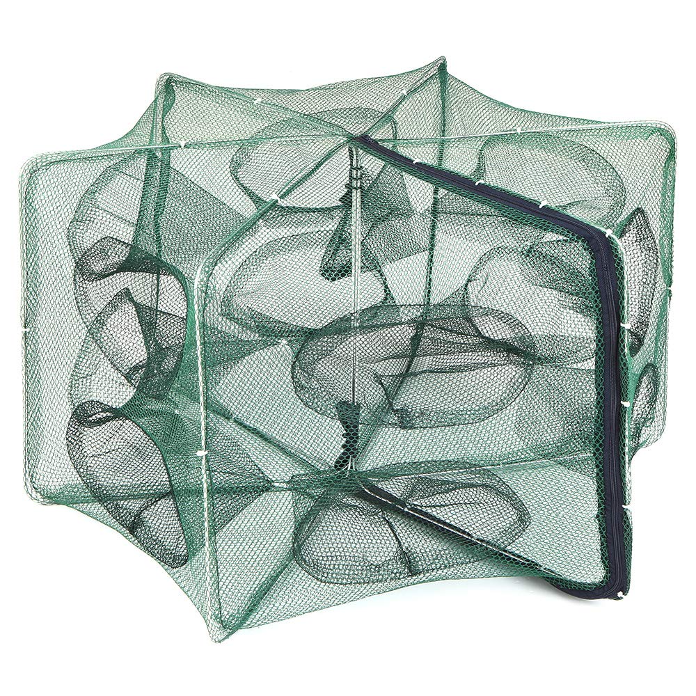 Buy Honeytecs Foldable Fishing Net Hexagon 6 Hole Fishing Net Shrimp Cage Trap Minnow Crab Baits Mesh Trap Net Online at Low Prices in India