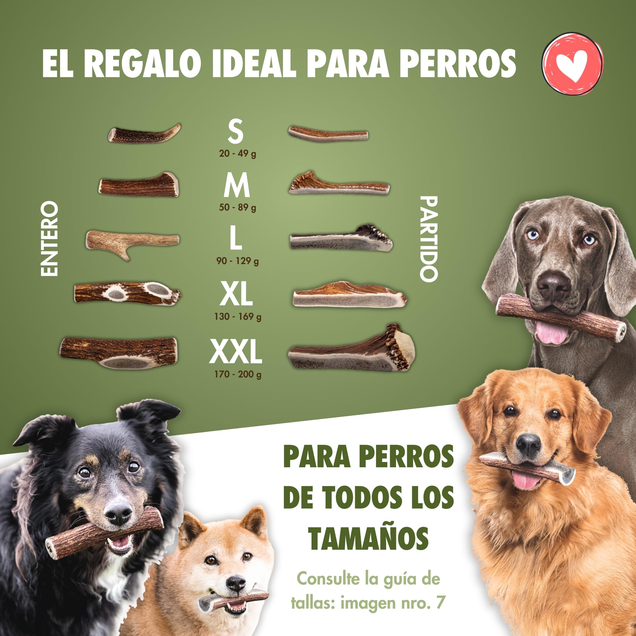 FOURLEGS® Asta Perro Natural Hecha de Asta de Ciervo 100% - con Minerales, Juguete Perro, Sabor a Venado, Huesos para Perros – Mordedor Perro – Tamaño XXL Mitad, Paquete de Ventajas (Pack de 5)