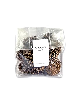 松ぼっくりの想い Amazon.co.jp: 10個の大きな松ぼっくり 高さ4インチから6インチ