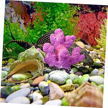 魚とサンゴの油彩画.個展購入 A4 【水彩画】海中に舞うダイバーと珊瑚礁の楽園｜透明な光と