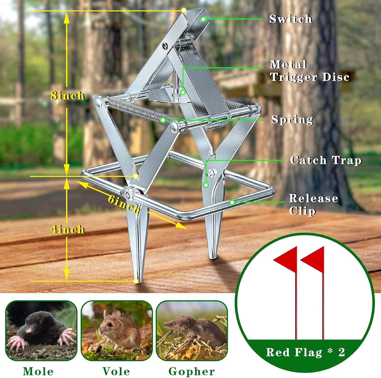 2 Pack Mole Traps that Kill Best, Vole Traps Outdoor Use Scissor for Lawns, Mole Trap Easy to Set Galvanized Steel Reusable Quick Capture Gopher