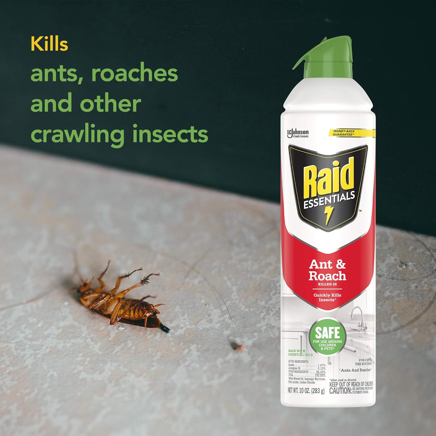 Raid Essentials Ant & Roach Killer Aerosol Spray, Child & Pet Safe, Kills Insects Quickly, for Indoor Use, 10 oz : Patio, Lawn & Garden
