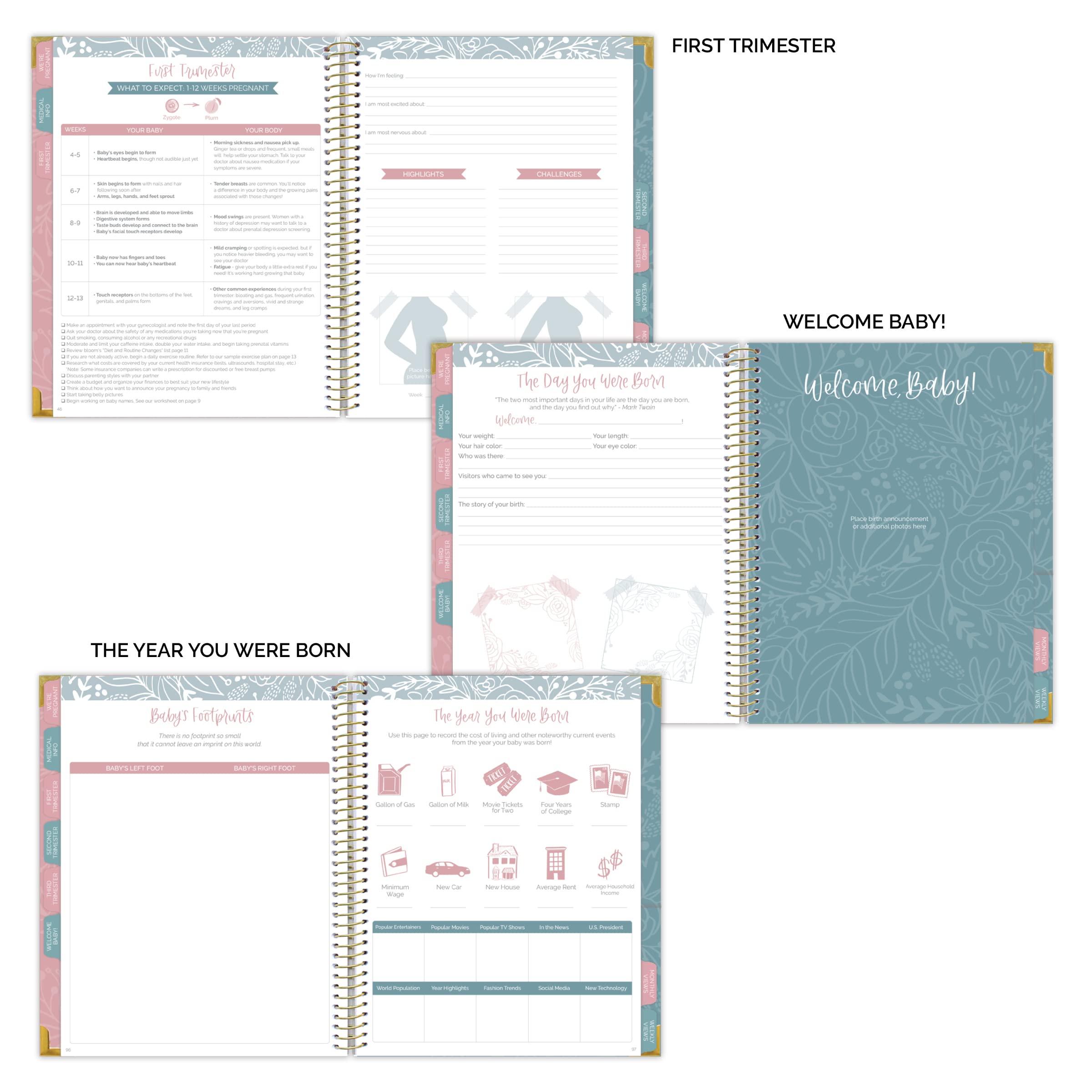 bloom daily planners Nowy kalendarz ciążowy i na pierwszy rok dziecka, planer i pamiętnik z naklejkami, twarda okładka, organizer, do scrapbookingu, bez daty, 20 x 25 cm, The Story of You