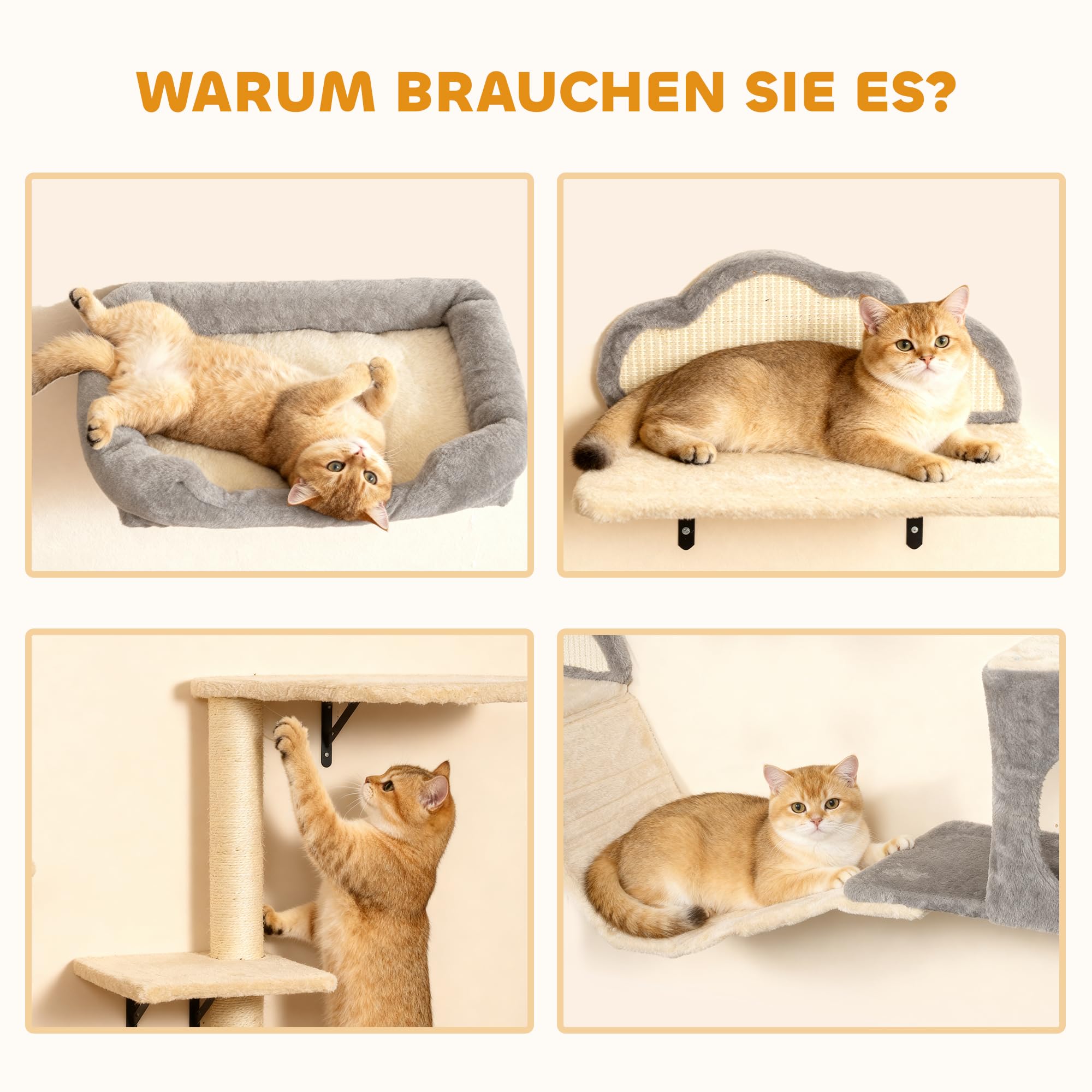PawHut Katzen Kletterwand Set Kratzbrett 4-teilig bis zu 5 kg Beige | Bett, Kratzbaum mit Höhle, Weicher Leiter, Katzenmöbel