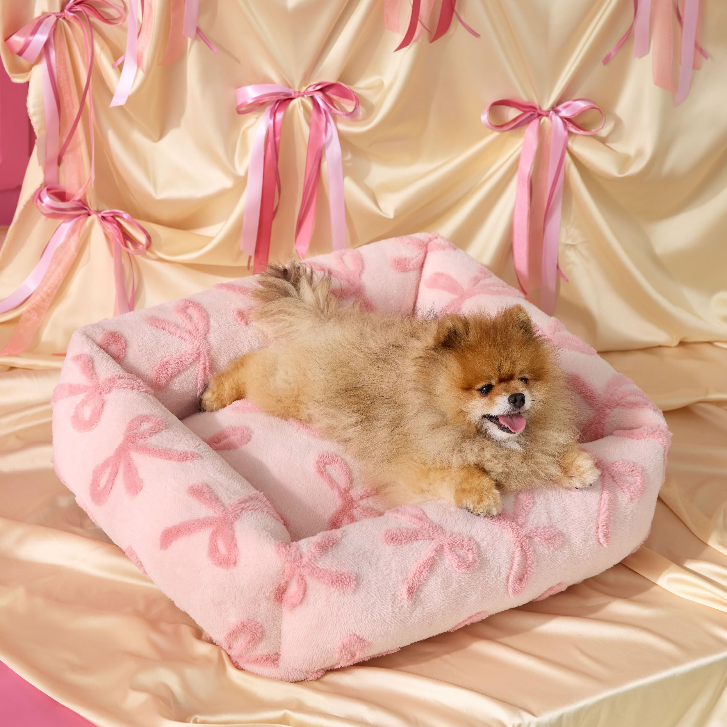 LE SURE Cute Dog Bed for Small Dogs - Washable Puppy Beds Cozy Rectangle Orthopedic Pet Sofa with