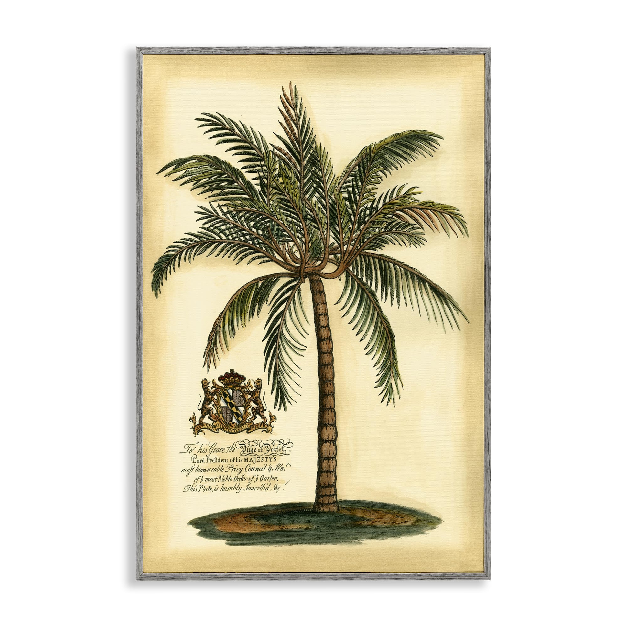 Stupell Industries Vintage Colonial Palm Illustration 'British Colonial Palm', Framed Giclee Art, Gray, 12 X 18 Inches, Easy To Hang And Sturdy, Made In Usa, By Vision Studio