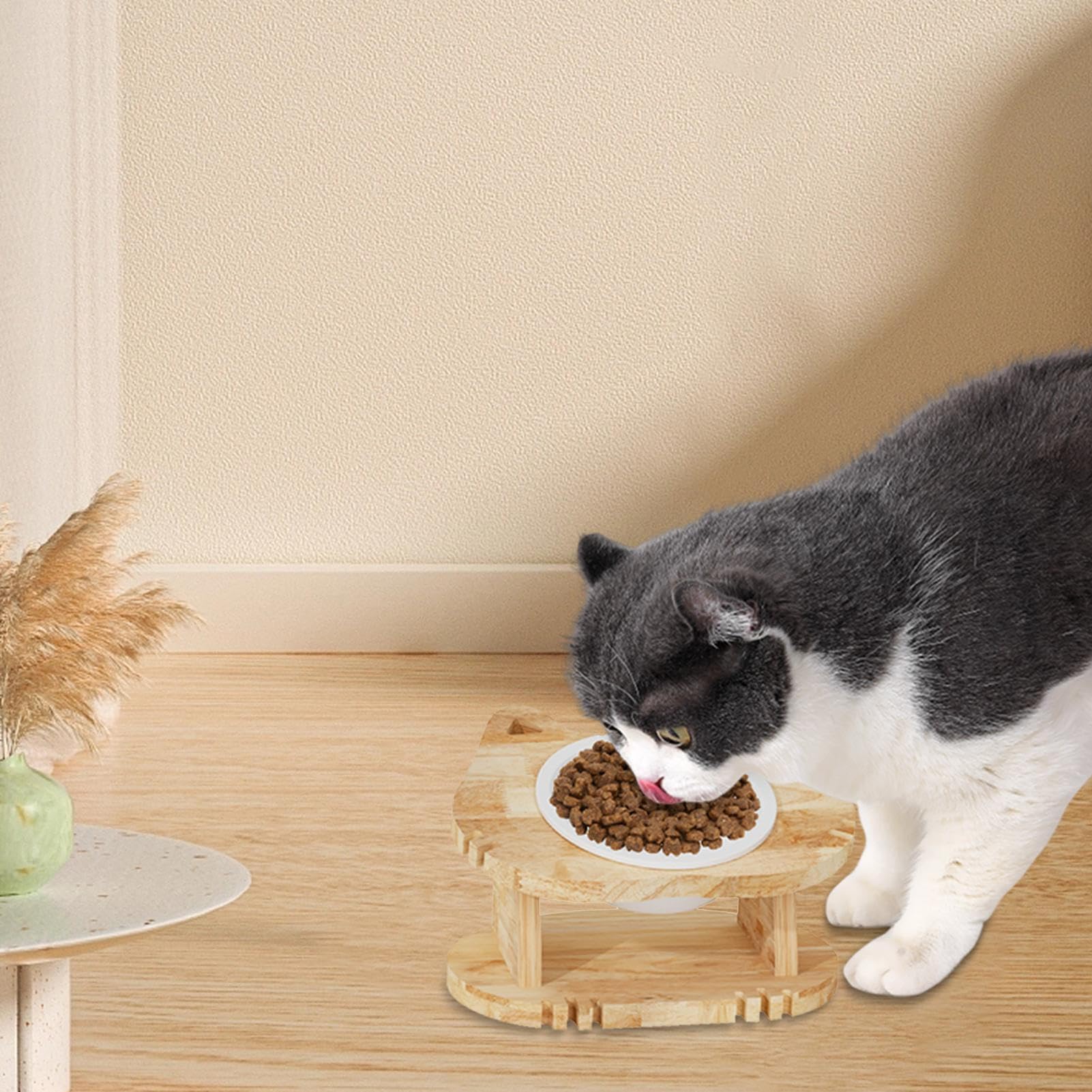 Gekippte Futternäpfe für Katzen Rutschfester Schutz der Halswirbelsäule für | Erhöhter Schräger Futternapf Für Katzenkinder Für Den Einsatz In Innenräumen Wie Haushalt