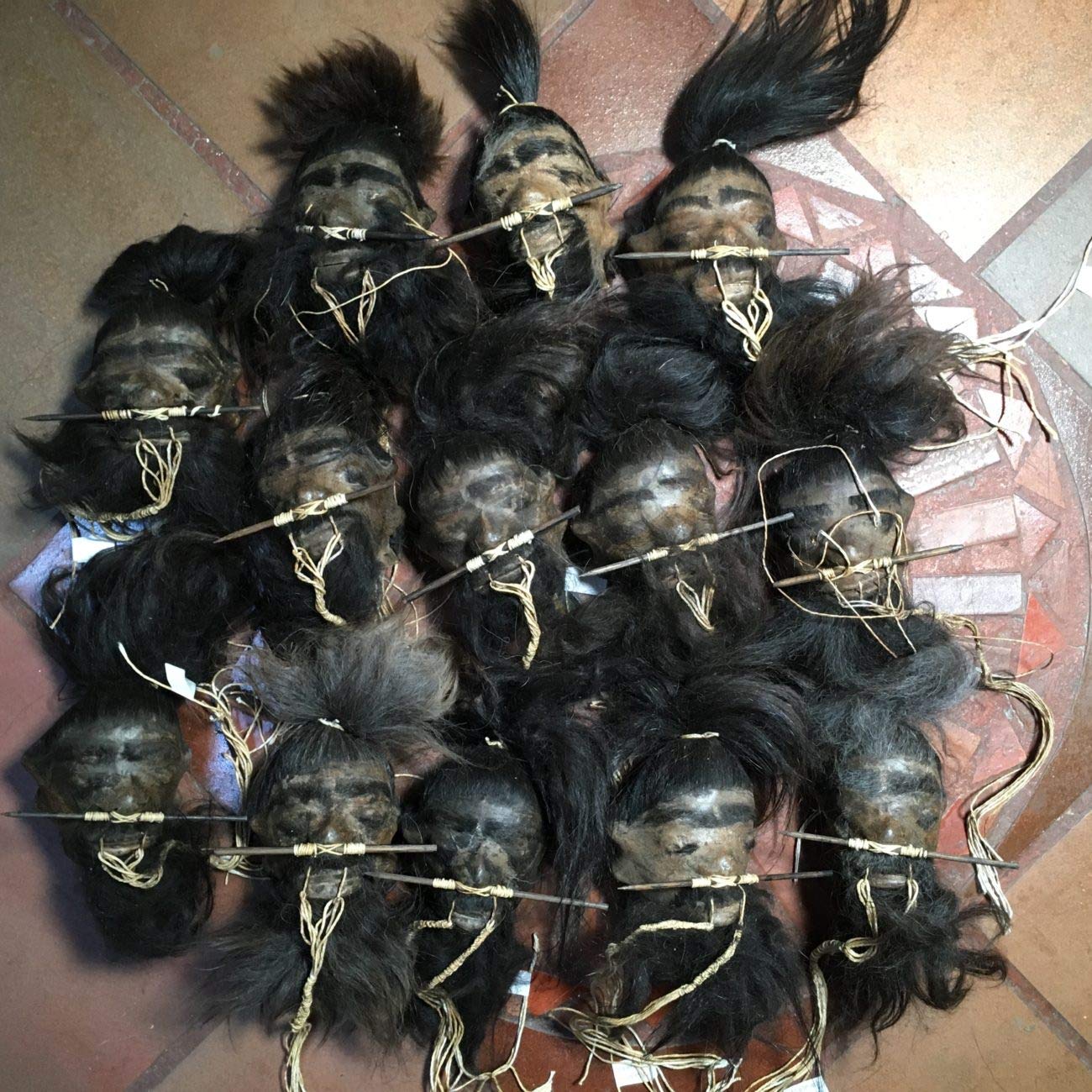 Buy Daprofe Shrunken Head Includes One(1) 4 Inch Black Haired Head Similar to Those Shown in