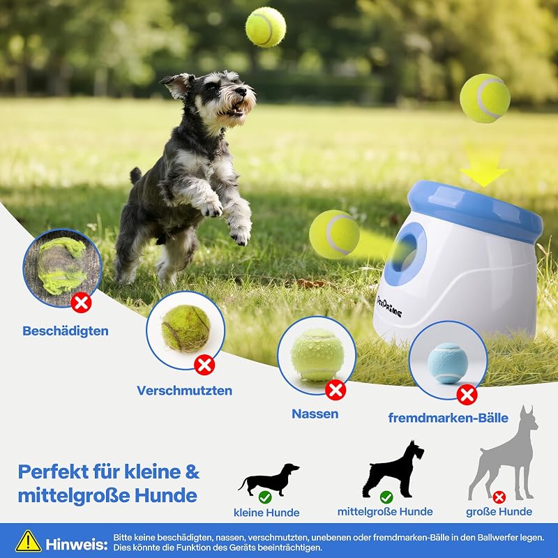 Pet Prime Automata Labdavető Kutyáknak 3 Távolsággal 3-9m Teniszlabdákkal