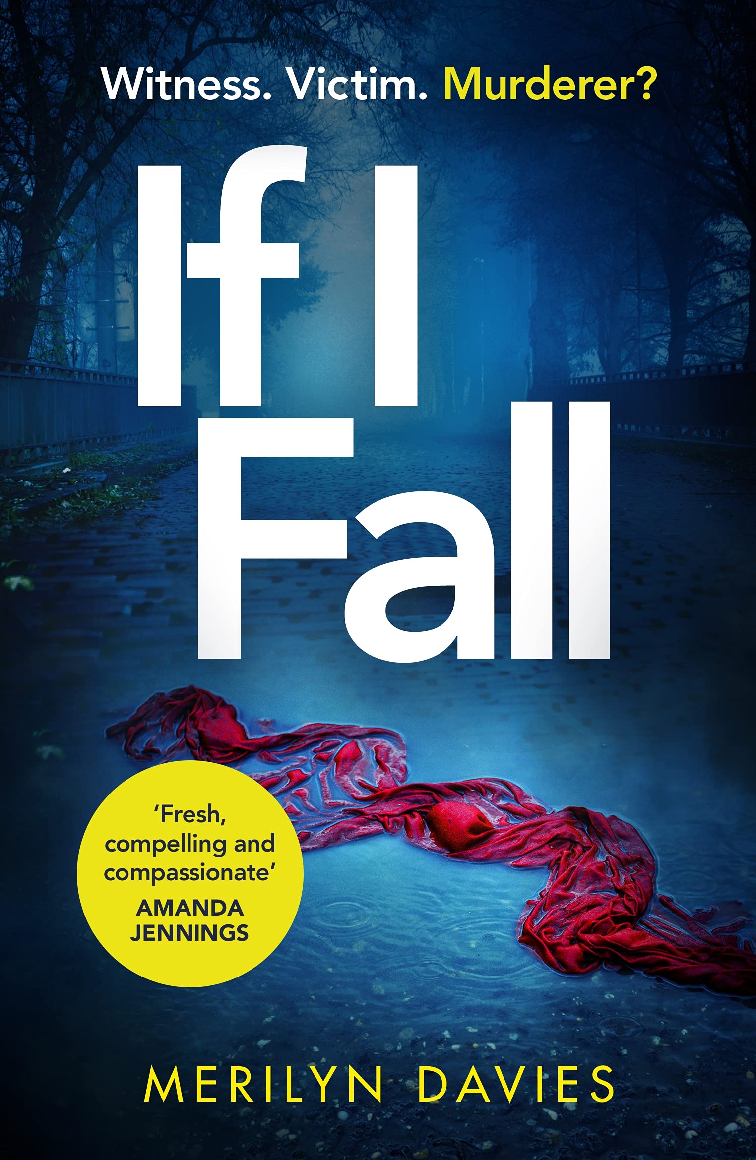 If I Fall By Merilyn Davies