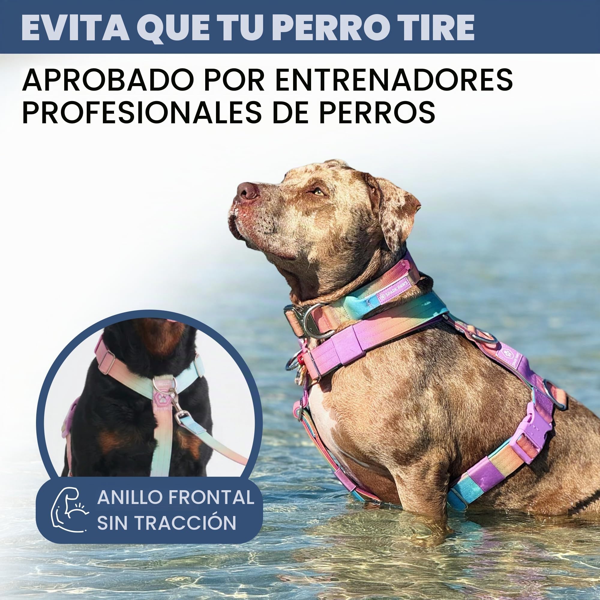 Spark Paws Arnés grande sin tirones para perro, diseño halter con clip frontal, duradero y resistente para razas grandes y fuertes, glaseado pastel, talla L