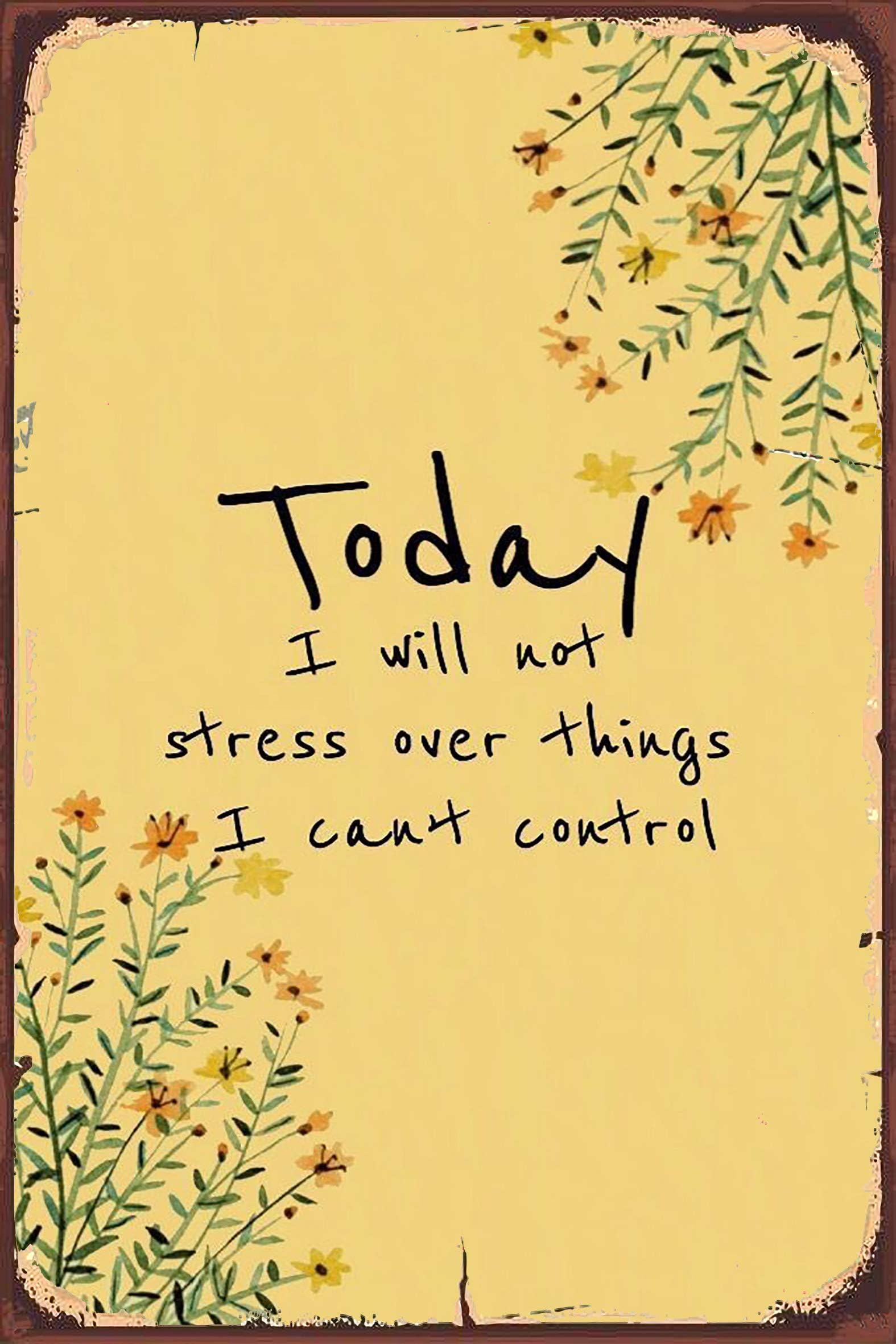 Tarika Today I Will Not Stress Over Things I Can't Control 8X12 Inch Tin Vintage Look Decoration Crafts Sign for Home Kitchen Bathroom Farm Garden Garage Inspirational Quotes Wall Decor