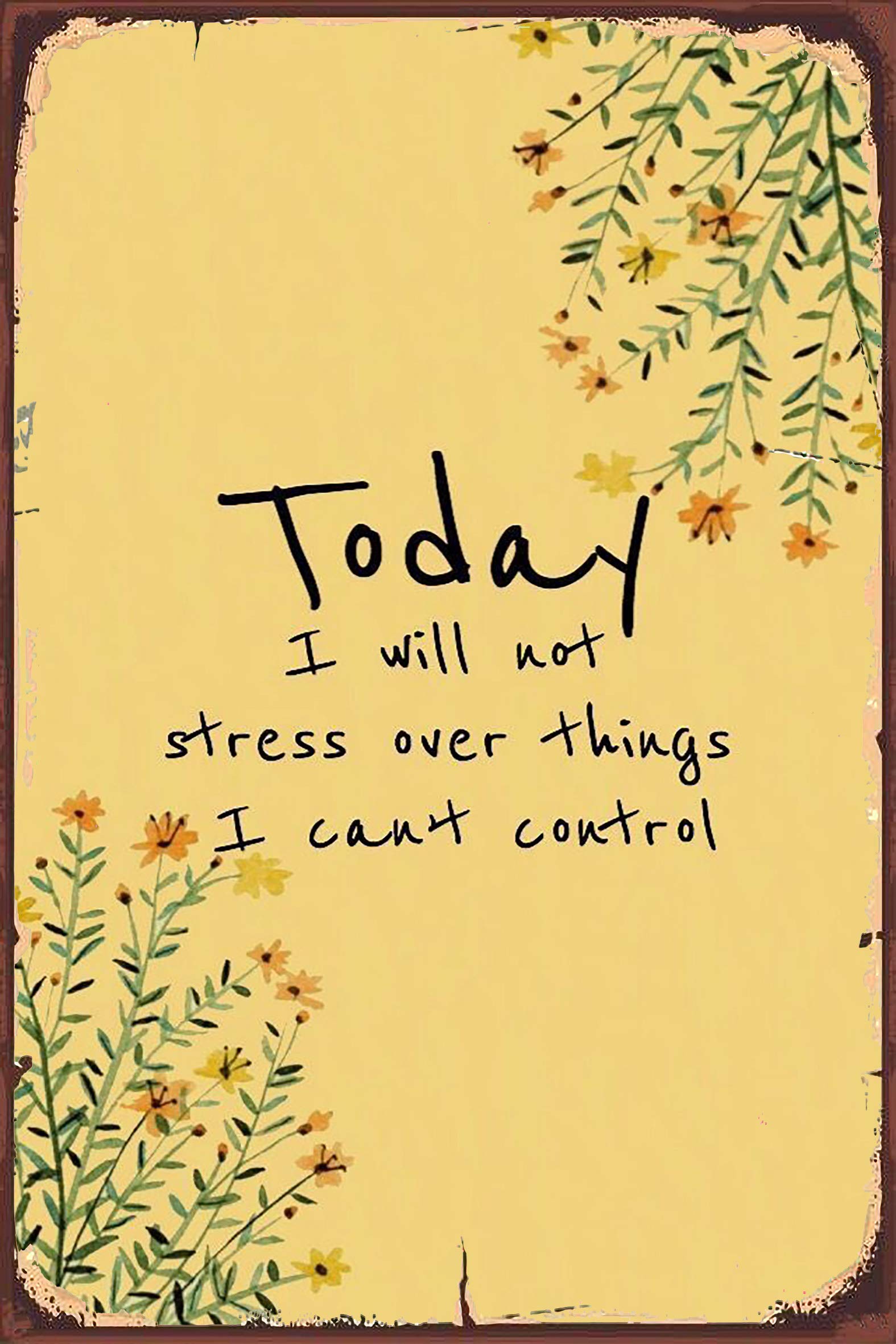 Tarika Today I Will Not Stress Over Things I Can't Control 8X12 Inch Tin Vintage Look Decoration Crafts Sign for Home Kitchen Bathroom Farm Garden Garage Inspirational Quotes Wall Decor
