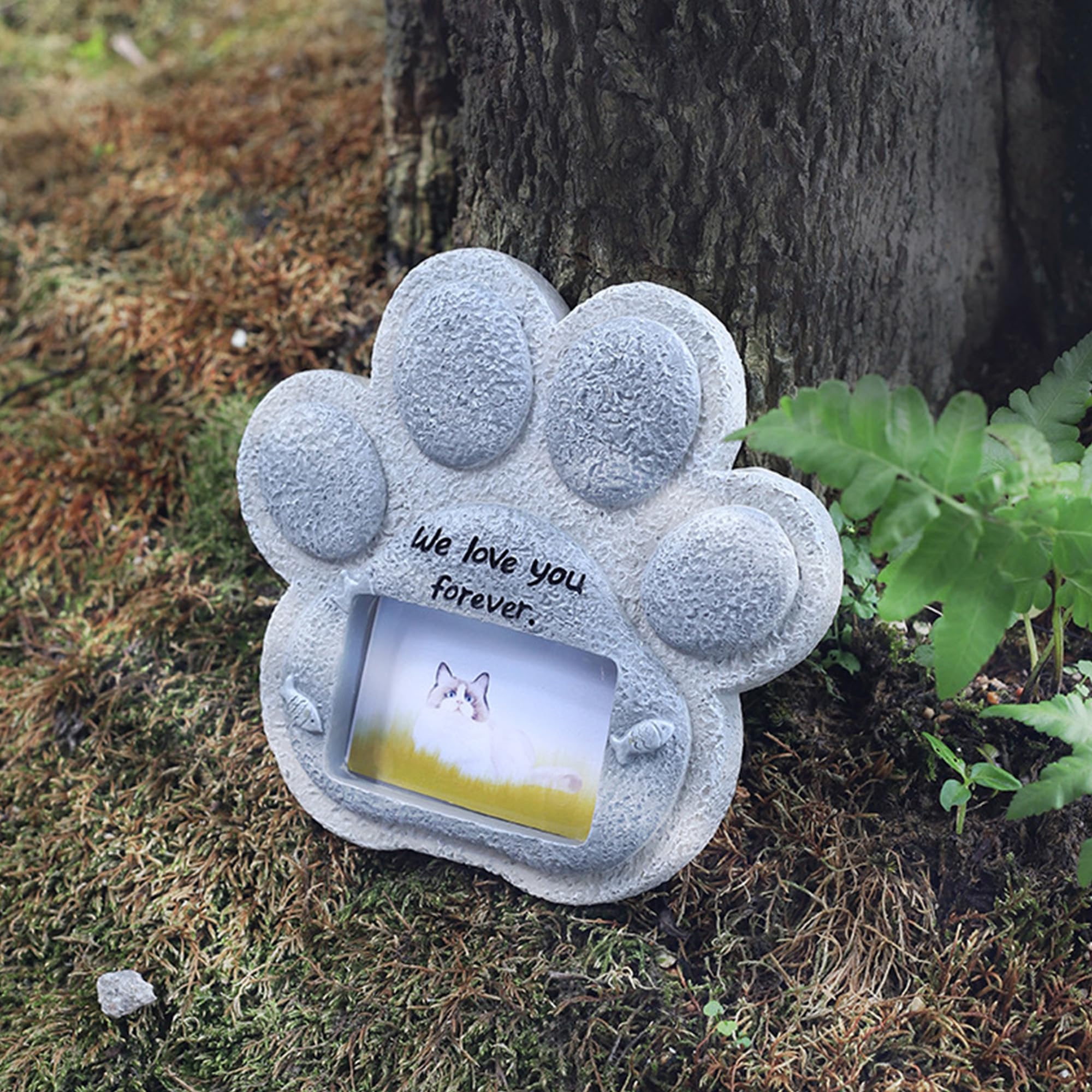 Kit Impronta Zampa Animale Domestico - Cornice Foto Con Impronta In Argilla - Ricordo Personalizzato - Foto 2