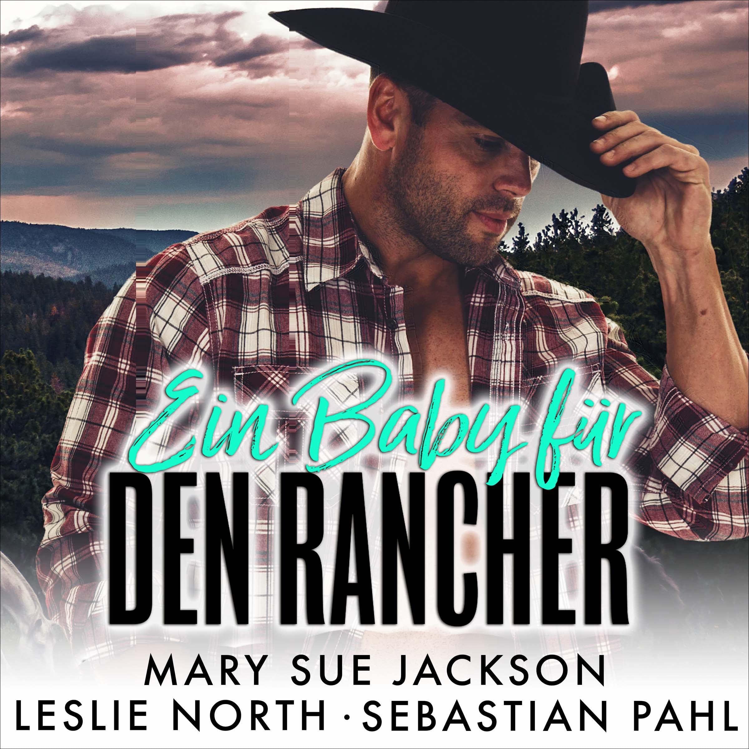 Ein Baby für den Rancher [The Rancher's Baby Bargain]