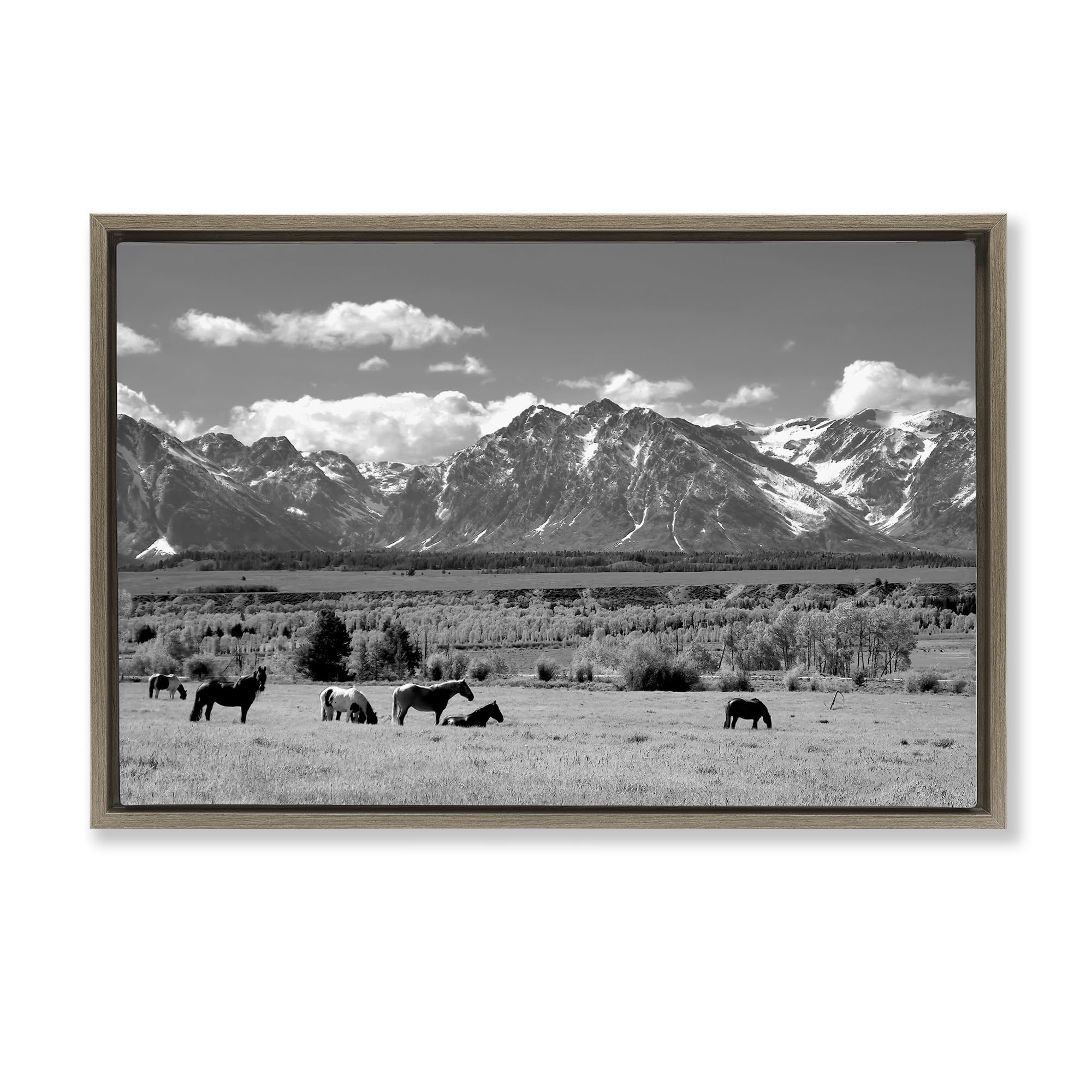 Stupell Industries Wyoming Ranch Horses Grazing 20 X 30 Inch Canvas In Floater Frame