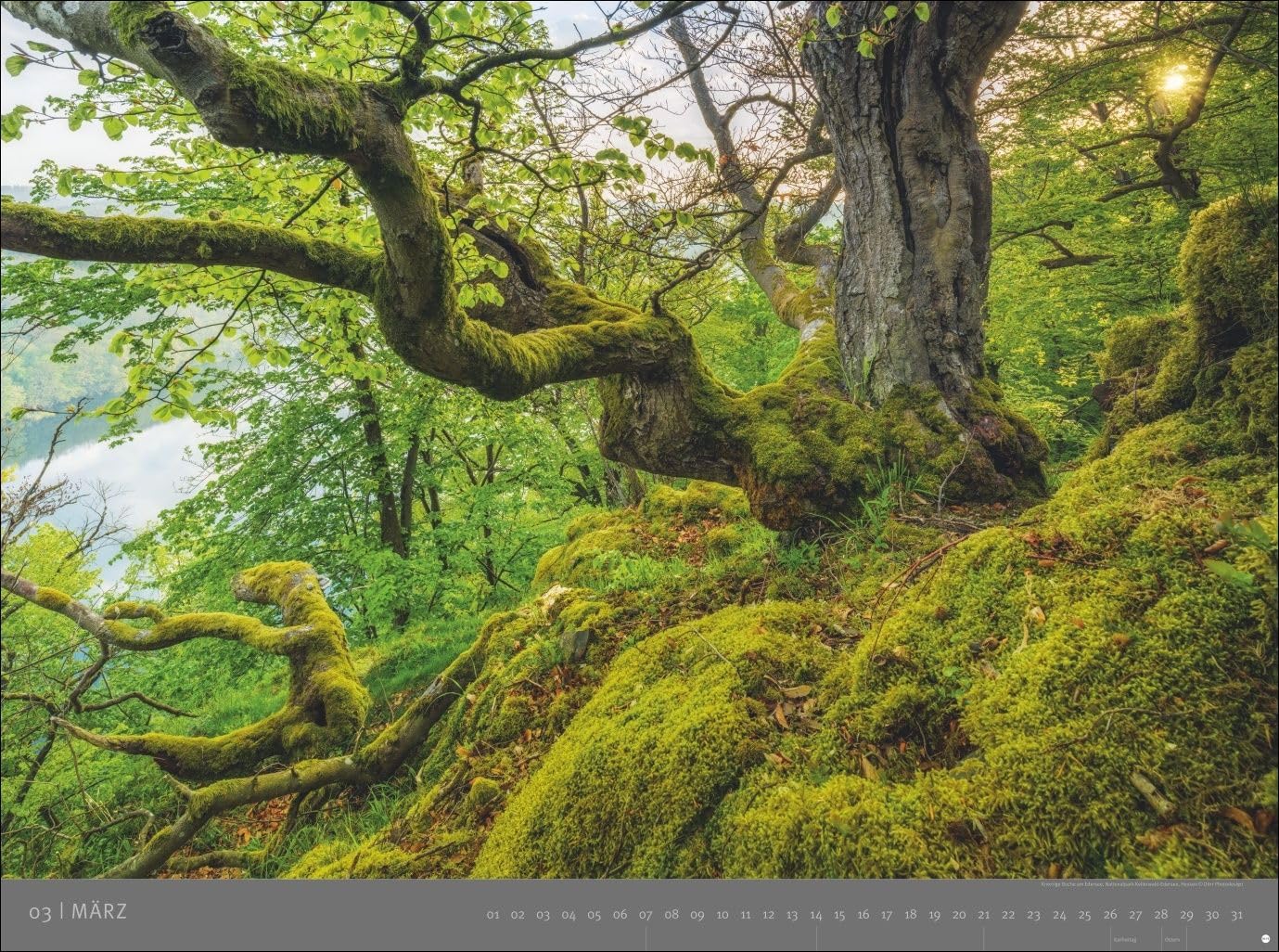 Deutsche Nationalparks - Edition Alexander von Humboldt Kalender 2027: Hochwertiger Foto-Wandkalender 2027. Großer Kalender mit beeindruckenden Fotos unberührter Landschaften. Fotokalender XXL.