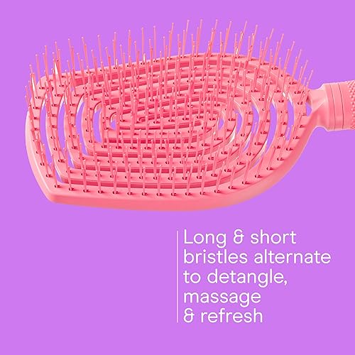 Miniatura 3 de Conair Cepillo desenredante para el cuidado del cuero cabelludo, cepillo para cabello rizado, masajeador de cuero cabelludo, cepillos para el