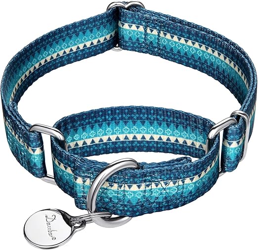 Dazzber Martingale Collar Nylon Dog Collar No Pull Pet