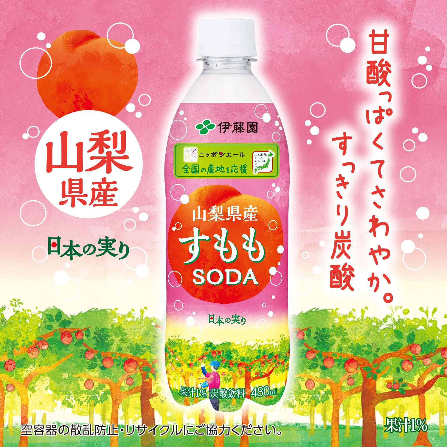 Amazon.co.jp: 伊藤園 すももソーダ 山梨県産 480ml×24本 ニッポン