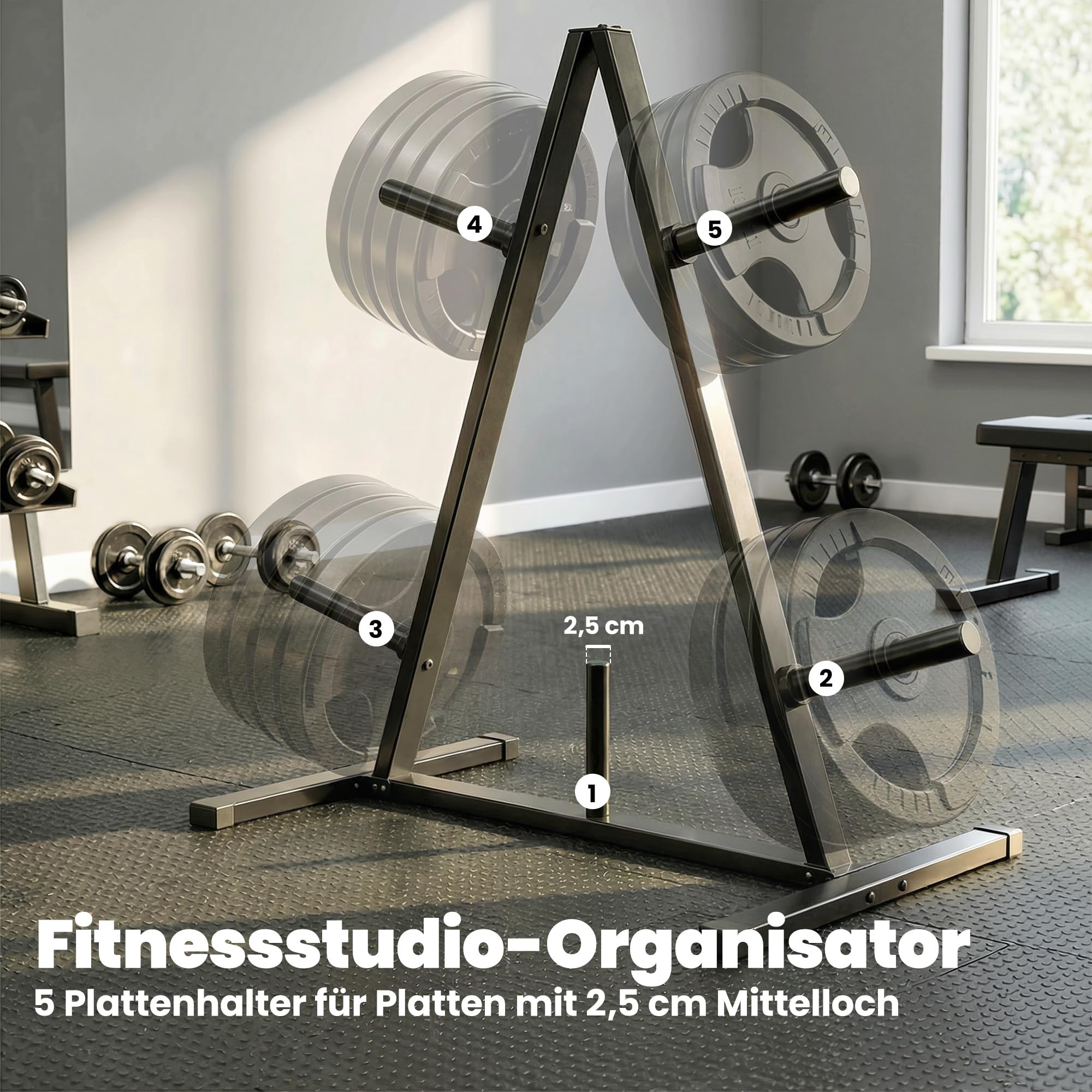 SPORTNOW Hantelscheibenständer mit 5 Stangen, Gewichtsständer mit 25 mm Scheibenaufnahme, bis 200 kg Belastbar, Stahl, Schwarz
