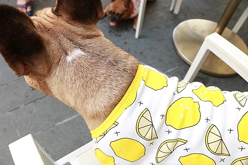 Miniatura 7 de iChoue Camisetas de dibujos animados de Bulldog Francés, ropa linda para perros medianos, chaleco sin mangas, grande Frenchie Pug Inglés Boston