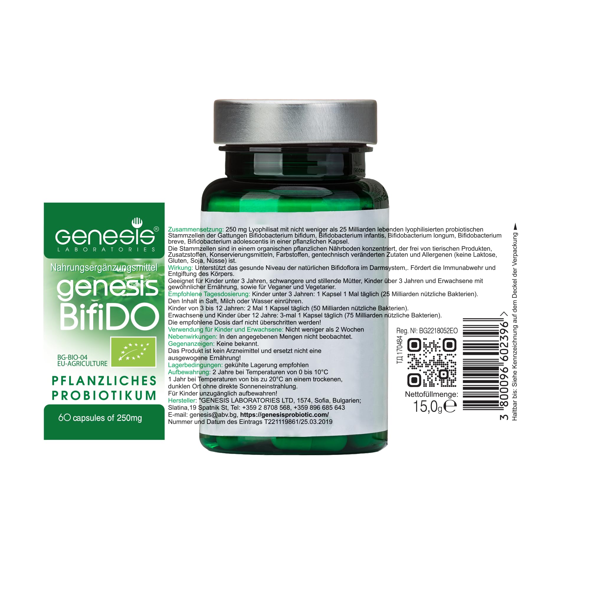 BIO Vegan Bifidobakterien Probiotika – Darmbakterien Kapseln für Darmflora Aufbau & Darmsanierung – Laktosefrei, Glutenfrei, Ohne Soja, Vegetarisch – 240 mg Hochwertiger Kulturen Komplex 60 caps