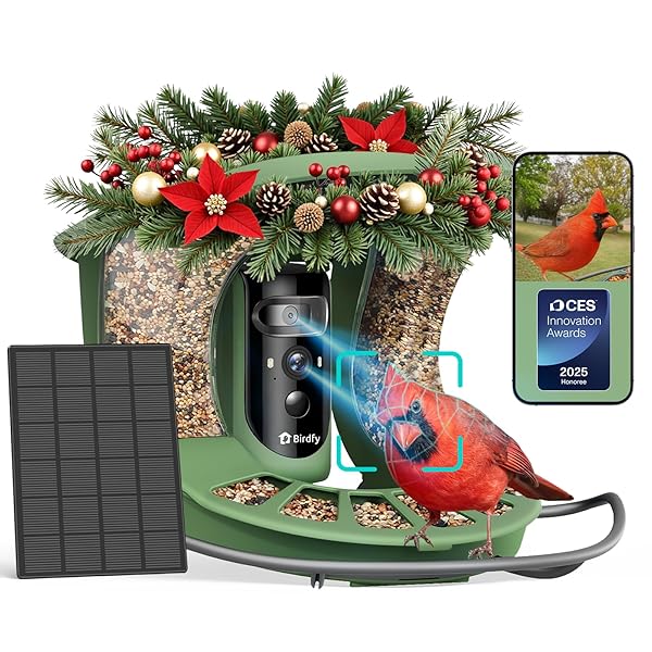 Birdfy 2 Smart Bird Feeder with Camera, Dual-Lens (2K+1080P) Camera for Live Streaming & Close-Up Photos, AI Identifies Bird Species, Solar-Powered Backyard Birdwatching Gift