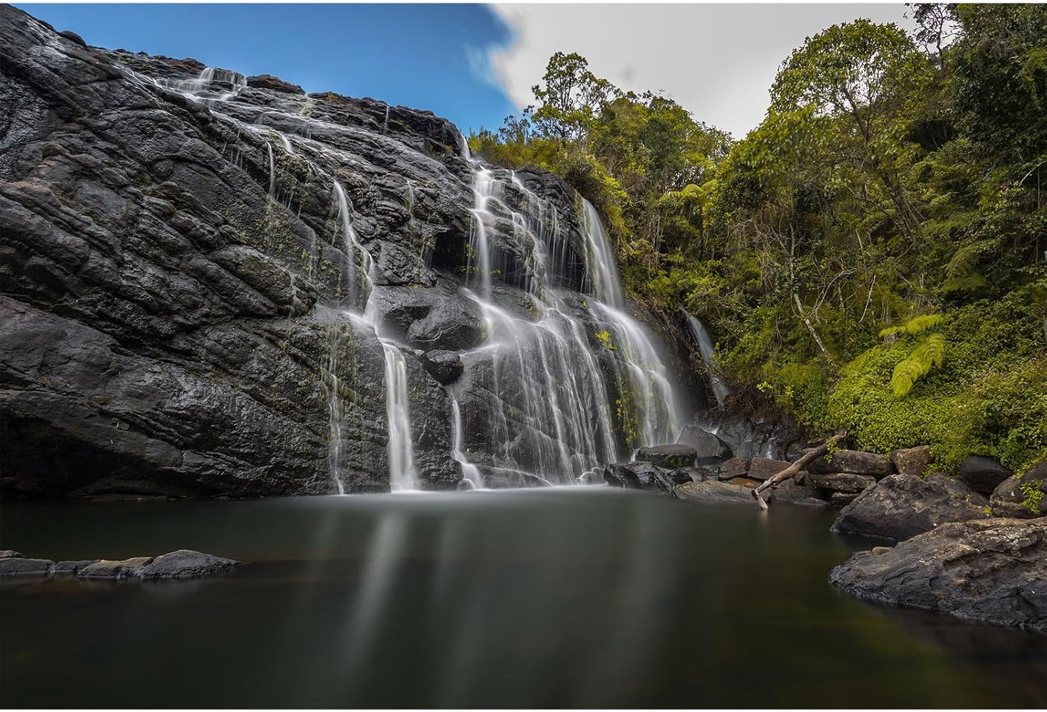 Waterfall Aquarium Background Jungle Rainforest Natural
