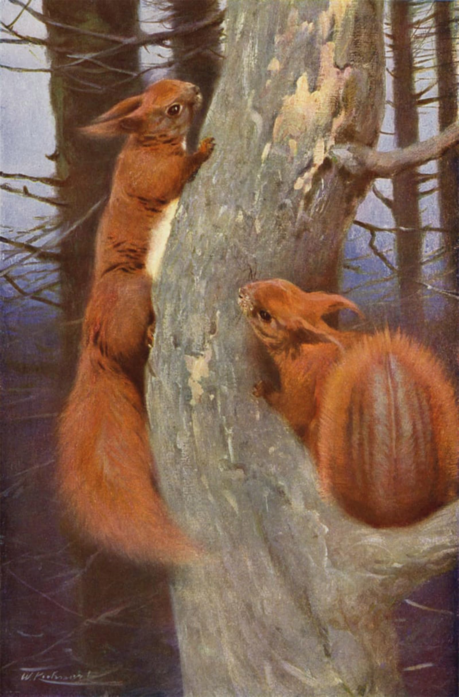 SERENDIPITP Abstract Painting Mural Print Picture Wall Decor Painting Squirrel by After Wilhelm Kuhnert Vintage Wall Artwork for Home Decor 60x90cm