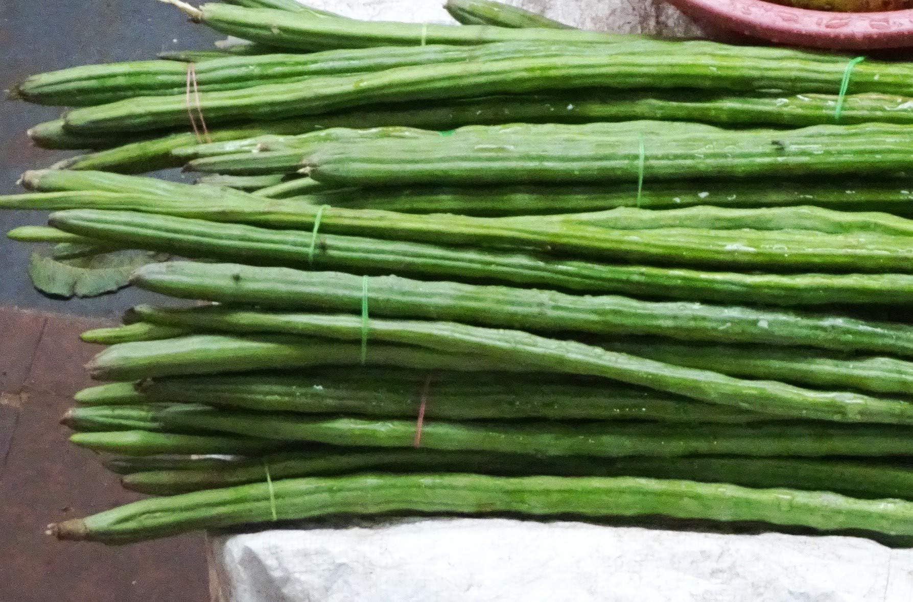 Sahjan/Saragavo/Shevaga/Moringa Plant Seeds 50 Seeds