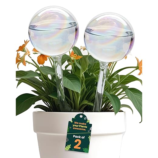 Iridescent Self Watering Globes, Glass Rainbow Plant Watering Globes, Self Watering Planter Insert, Automatic Plant Waterer Indoor (Medium-2 Pcs Iridescent, Medium)