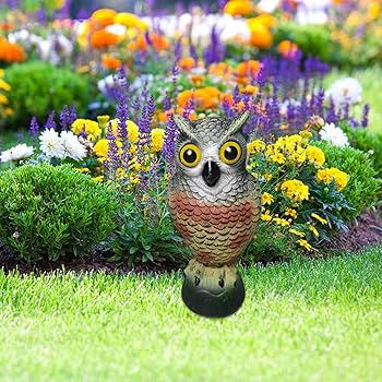 霊が見える置物 Amazon.co.jp: フクロウ 置物 鳥よけ 害鳥対策 カラス対策