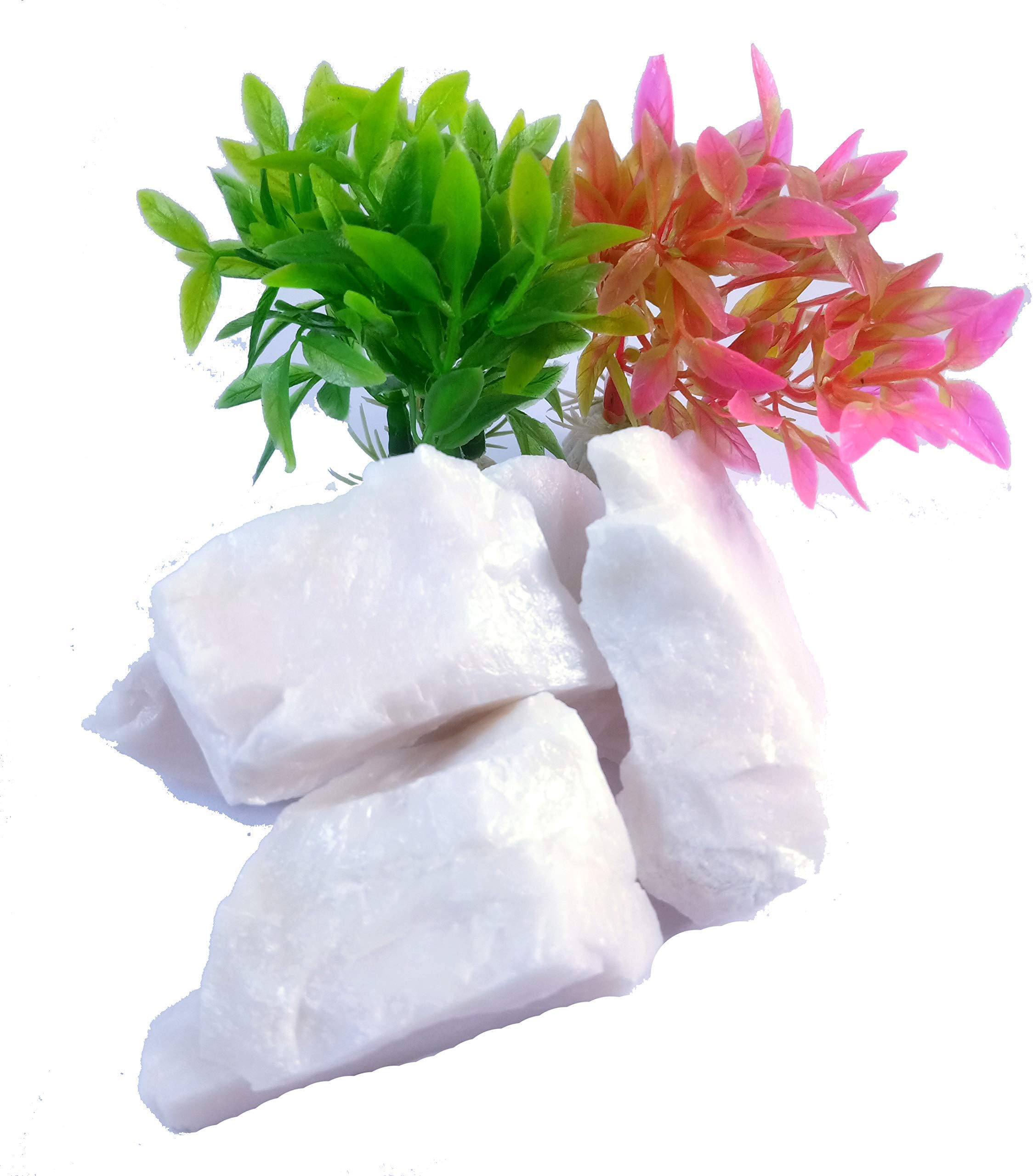 rocksminsRocksmins White King Quartz 100Gm Natural Rough Crystal Stone for Reiki Healing and Crystal Healing Stones Aura Cleaning for Tumbling, Chakras, Vastu & Meditation