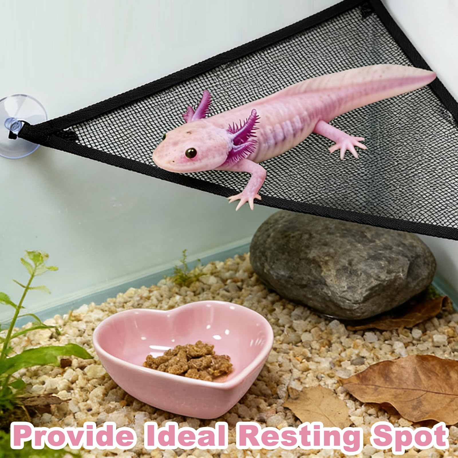 Axolotl Hamac pour aquarium avec gamelle, accessoires de réservoir Axolotl – Hamac en maille respirante pour reptiles avec plateau d'alimentation pour dragons barbu, geckos, lézards, serpents
