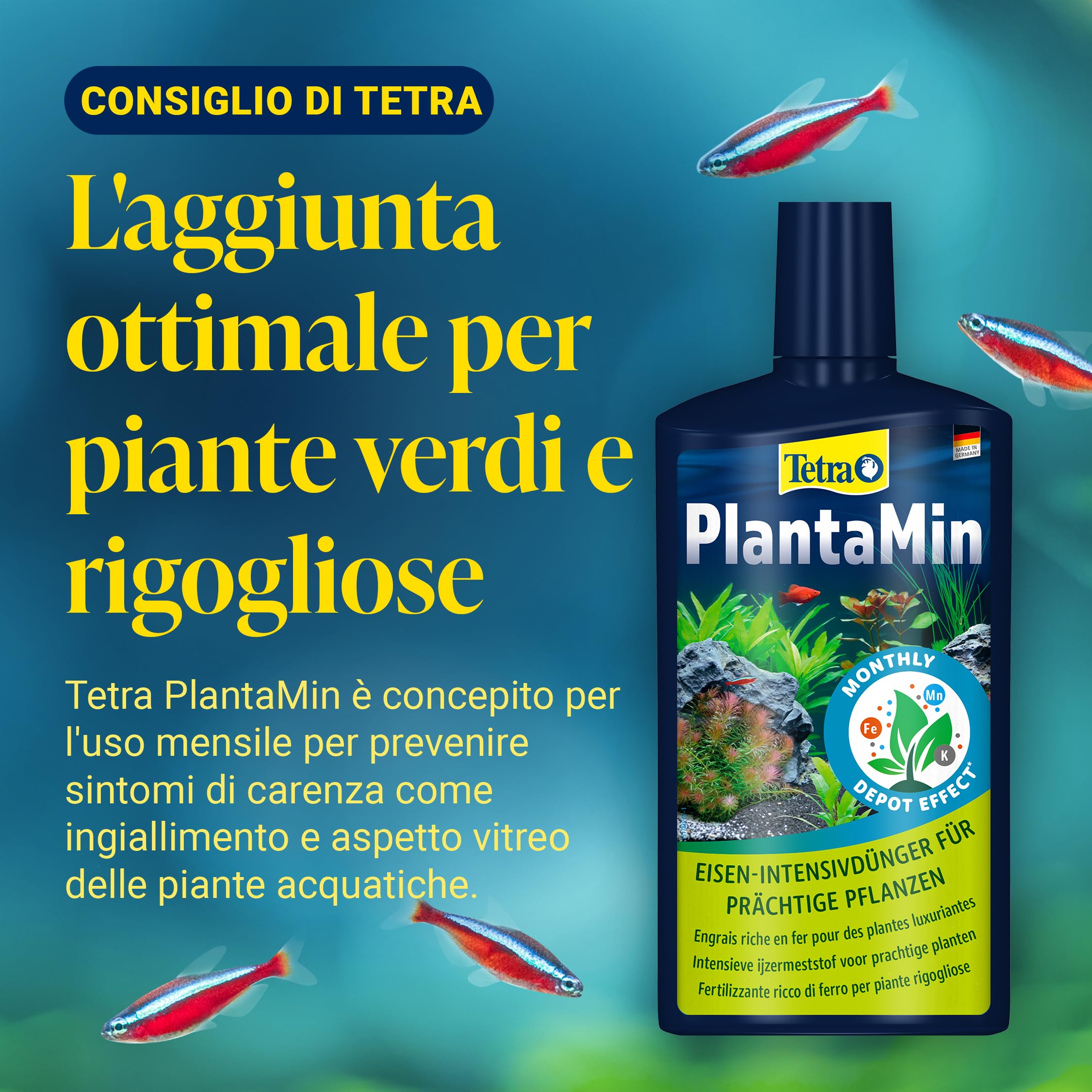 Tetra Complete Substrate - Substrato ricco di sostanze nutritive con fertilizzante a lunga durata per piante sane, per l'allestimento di un nuovo acquario, secchio da 5 kg