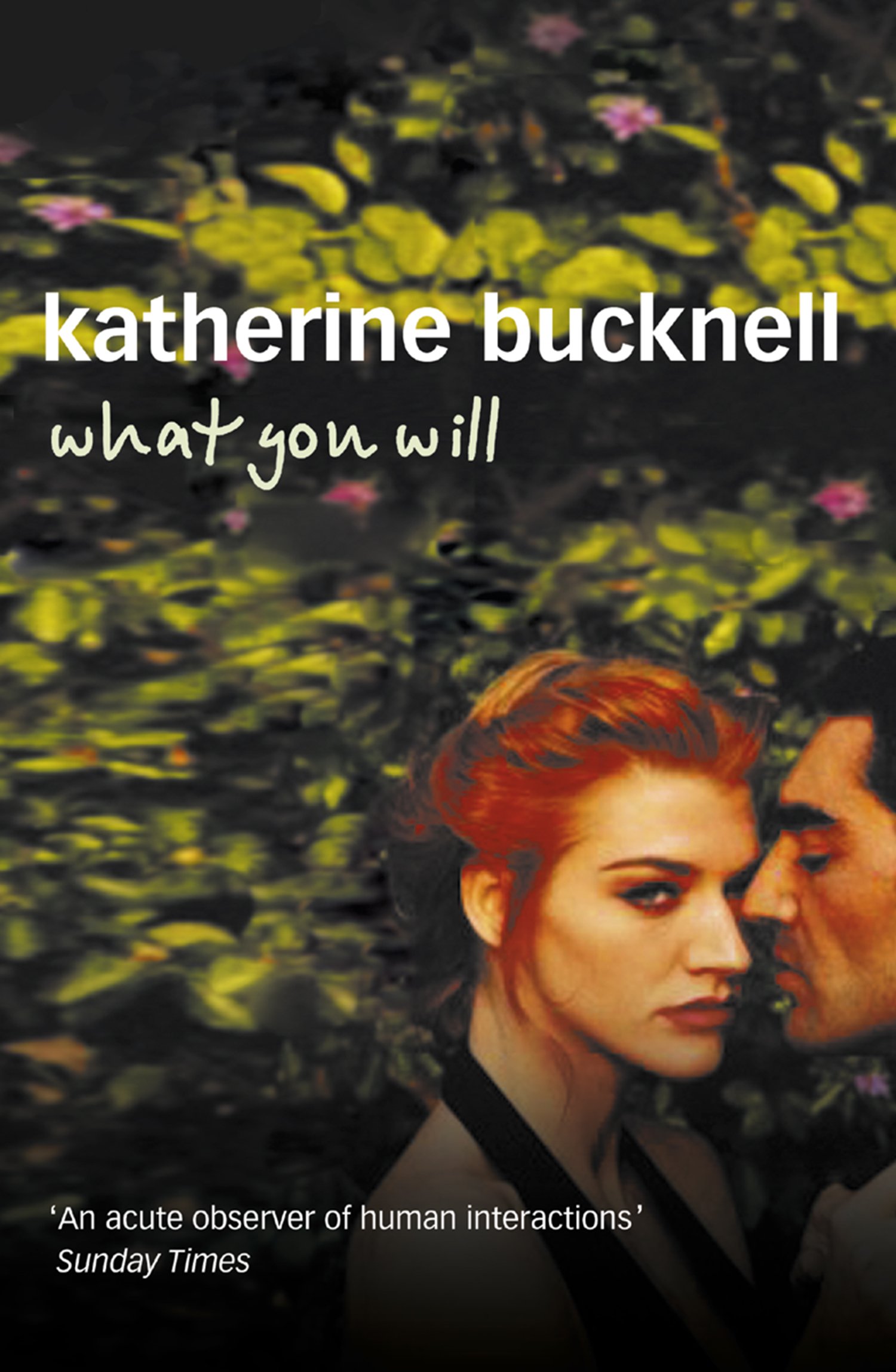 What You Will: An Intimate Literary Fiction Novel of Oxford Intellectuals and Secret Affairs