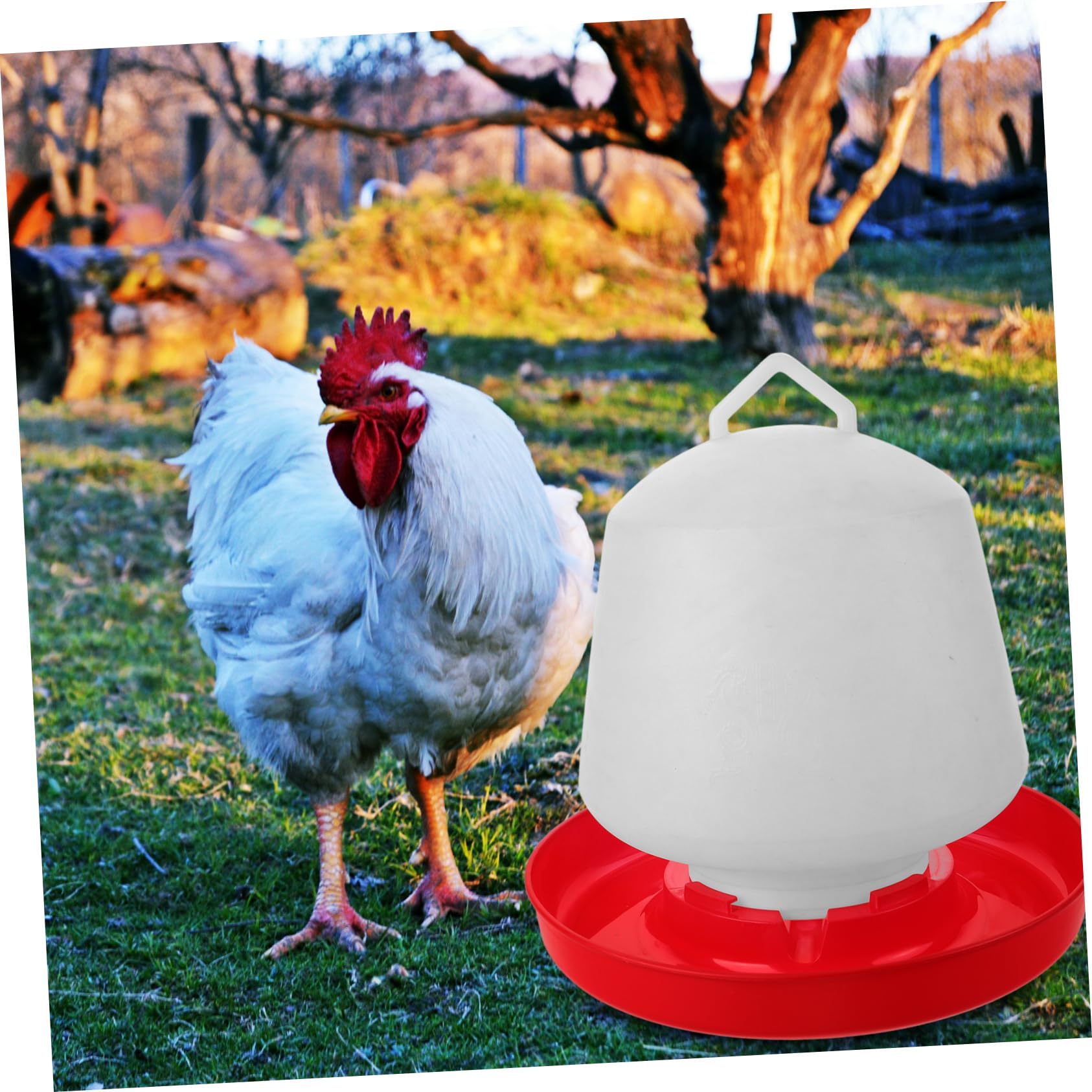 Toyvian Mangiatoia per Polli e Piccioni in Plastica Bianca Struttura Stabile e Resistente alla Pressione per Uso Esterno Design Creativo e Vasca Capiente