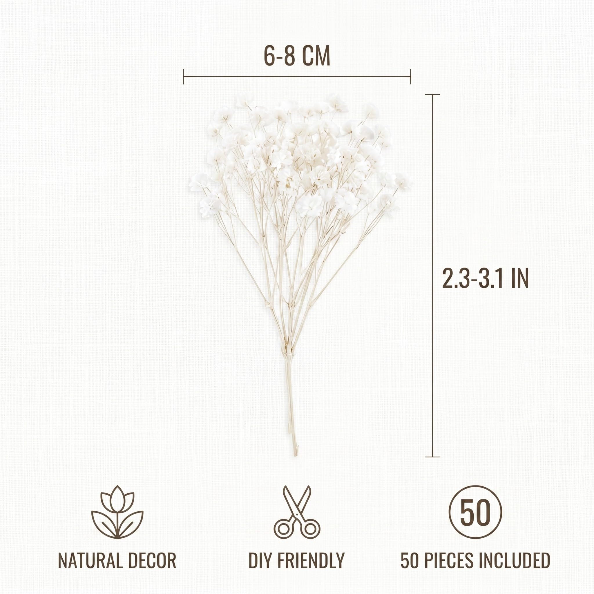 50 Pezzi Di Nebbiolina Bianca, Gypsophila Essiccata Misura Standard Per Artigianato In Resina E Decorazioni Nuziali