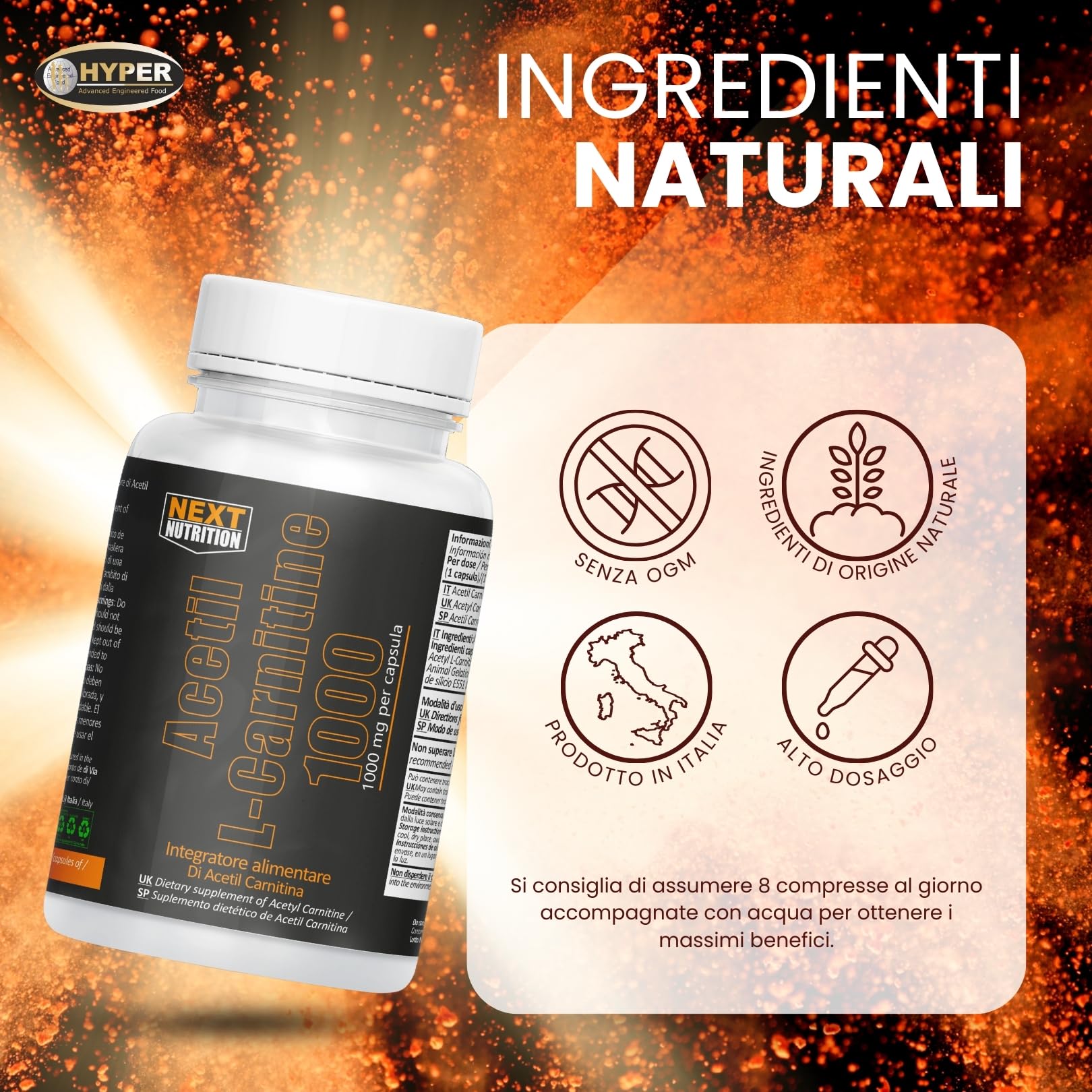 acetil l-carnitina per dimagrire Next Acetil L Carnitina 1000 mg 60 CPS