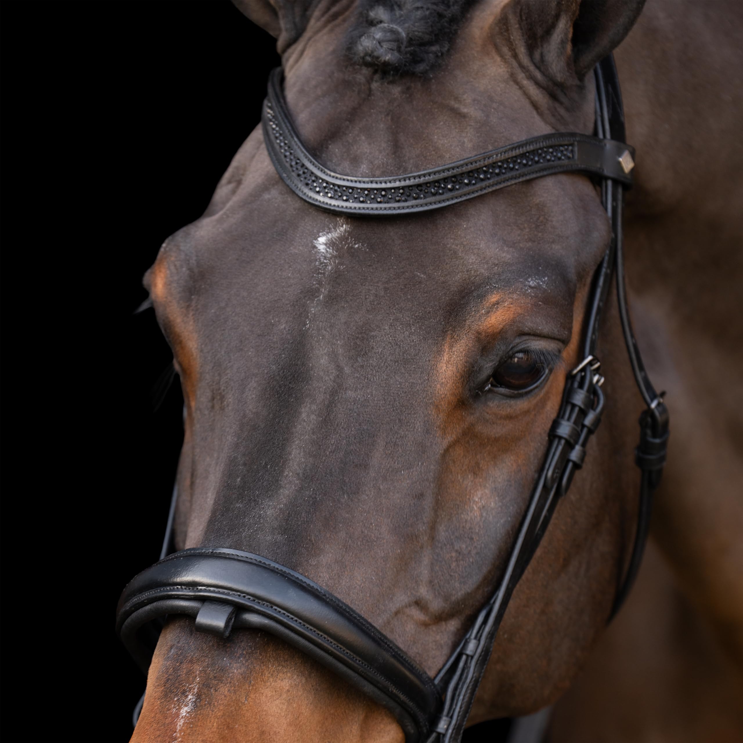 Imperial Riding IRH Ogłowie z angielskim noskiem, opaska na czoło ze strasu i wyściełana nakrycie głowy, skóra, czarny/czarny, Shetty