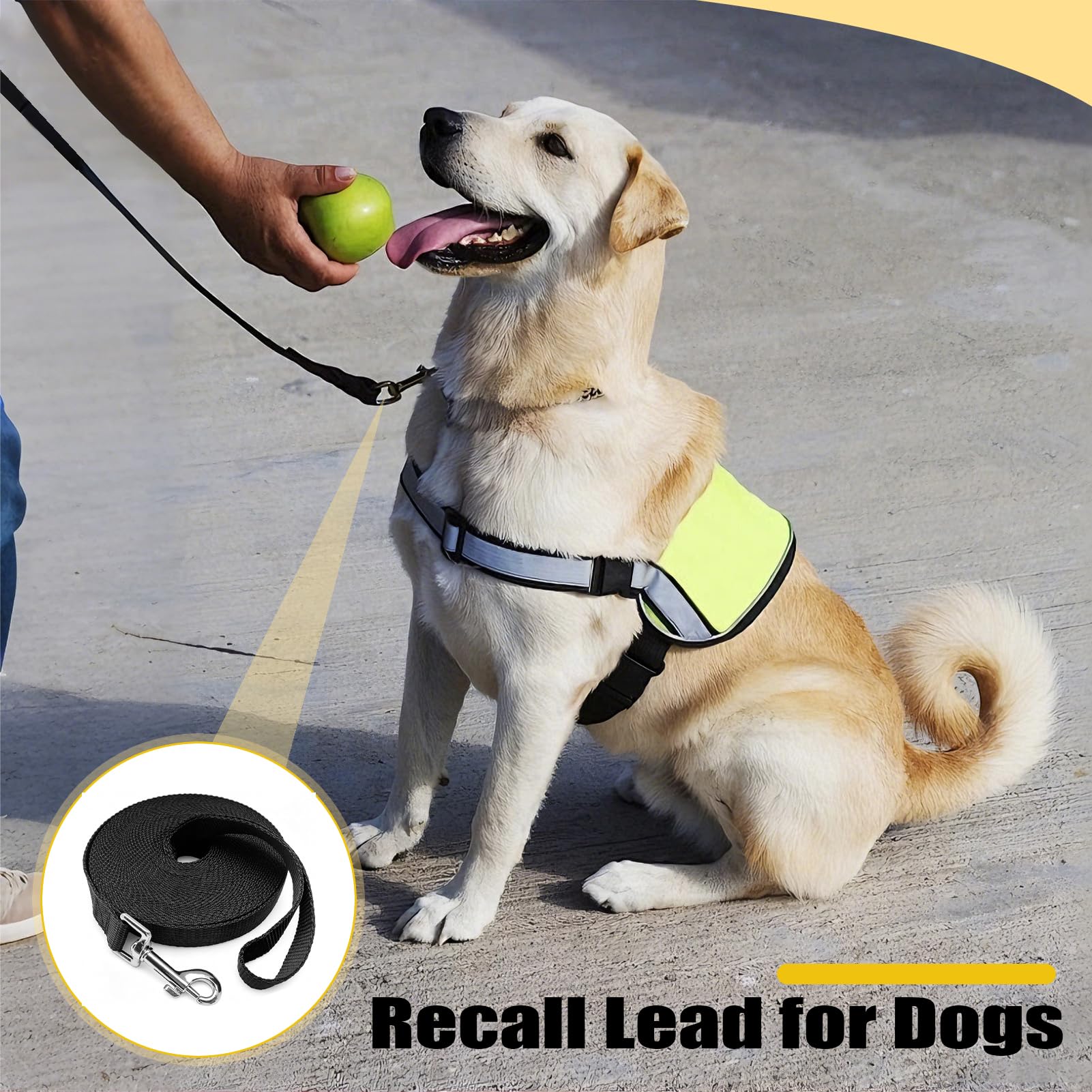 Longe pour Chien 5m, Laisse pour Chien, Laisse Imperméable avec Dragonne Et Mousqueton À 360°, pour L'entraînement pour Chiens De Petite, Moyenne Et Grande Taille (Noir)