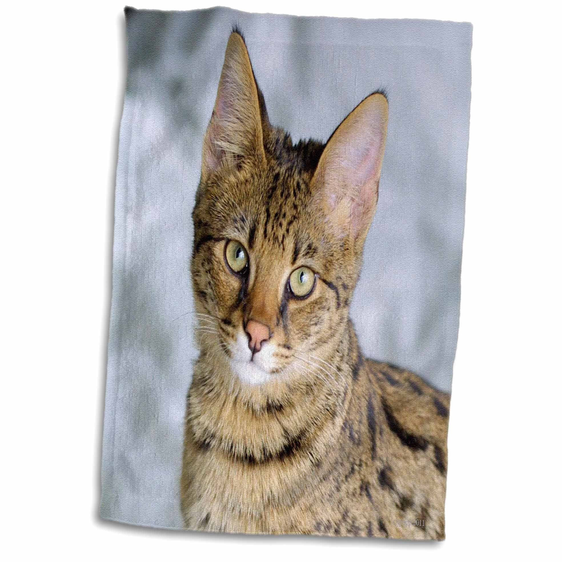 3D Rose Savannah Cat TWL_24999_1 Towel, 15" x 22"