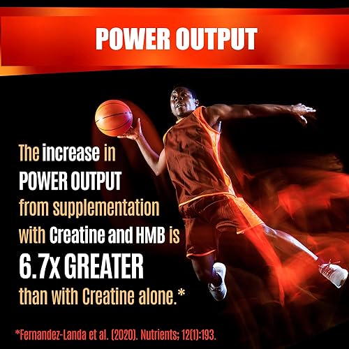 Miniatura 8 de Cápsulas de creatina HCL con HMB - Suplemento de entrenamiento para hombres y mujeres, constructor muscular, resistencia, fuerza, superior al