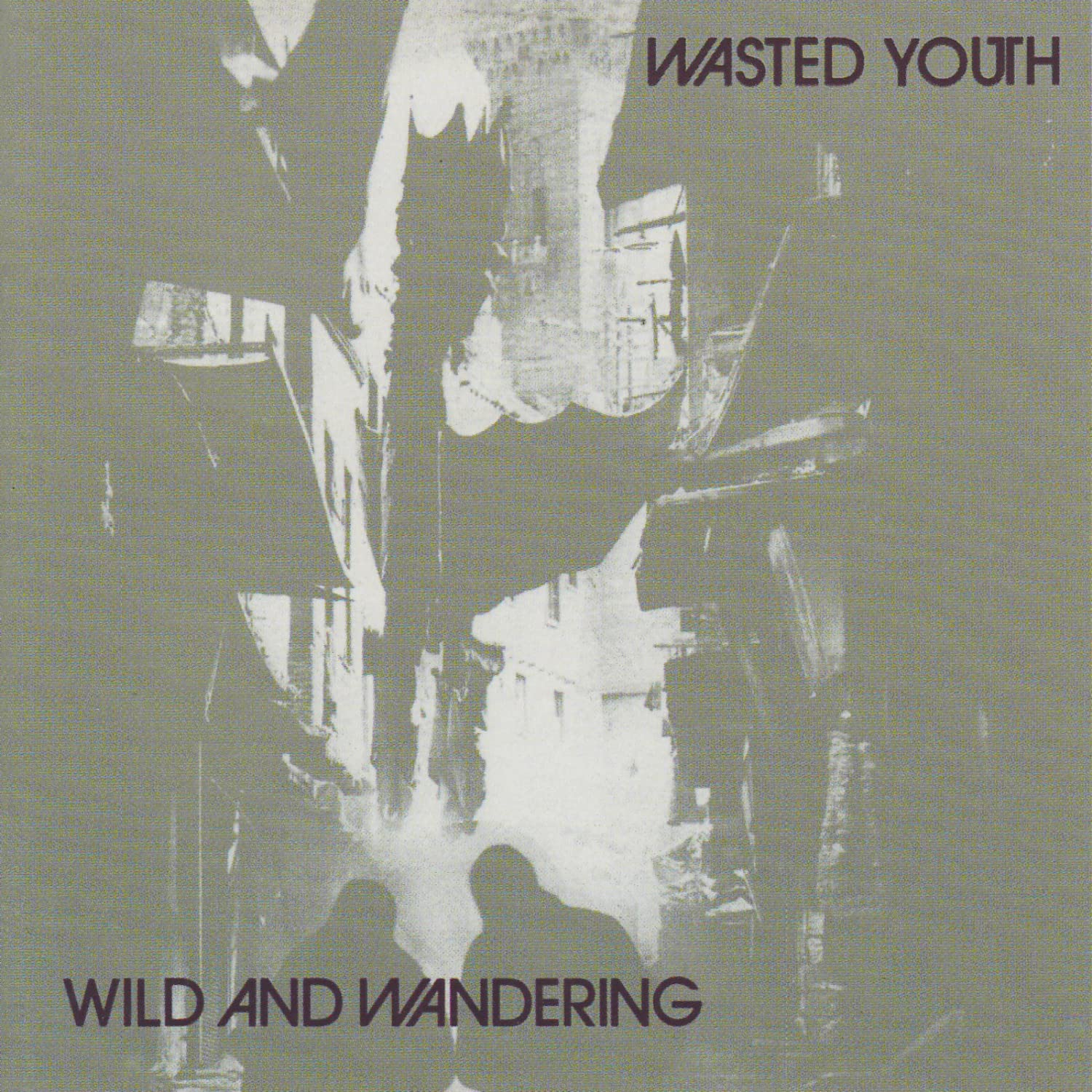 Wasted Youth