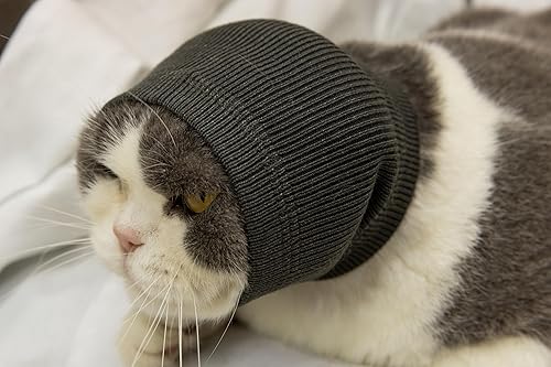 Vista 89 de Cat Head Cover Noise Protection When it Grooming Hematoma Ear Wrap for Cats Wine+Purple S