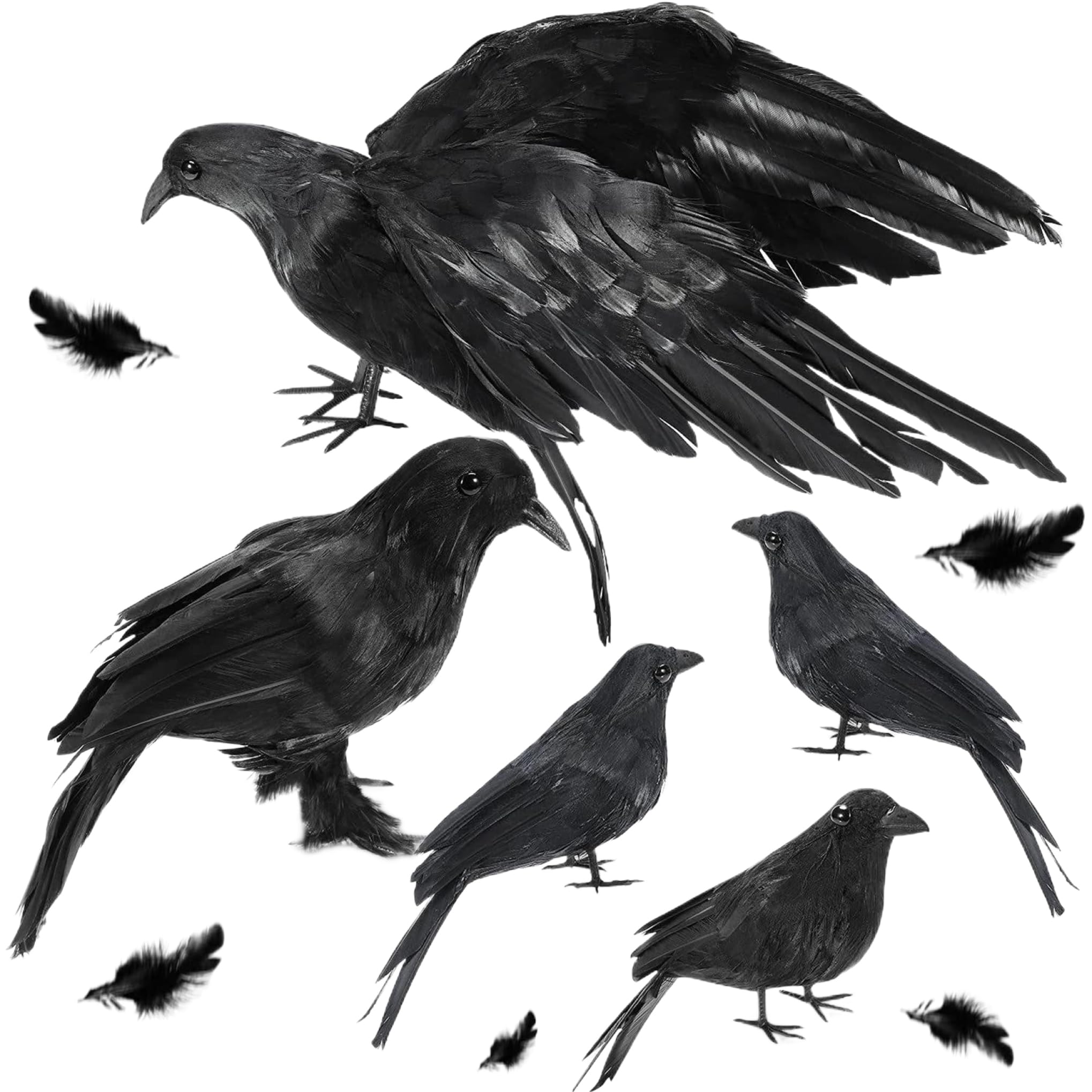 Corbeaux noirs à plumes pour effrayer vos invités avec un décor d'halloween réaliste en mousse