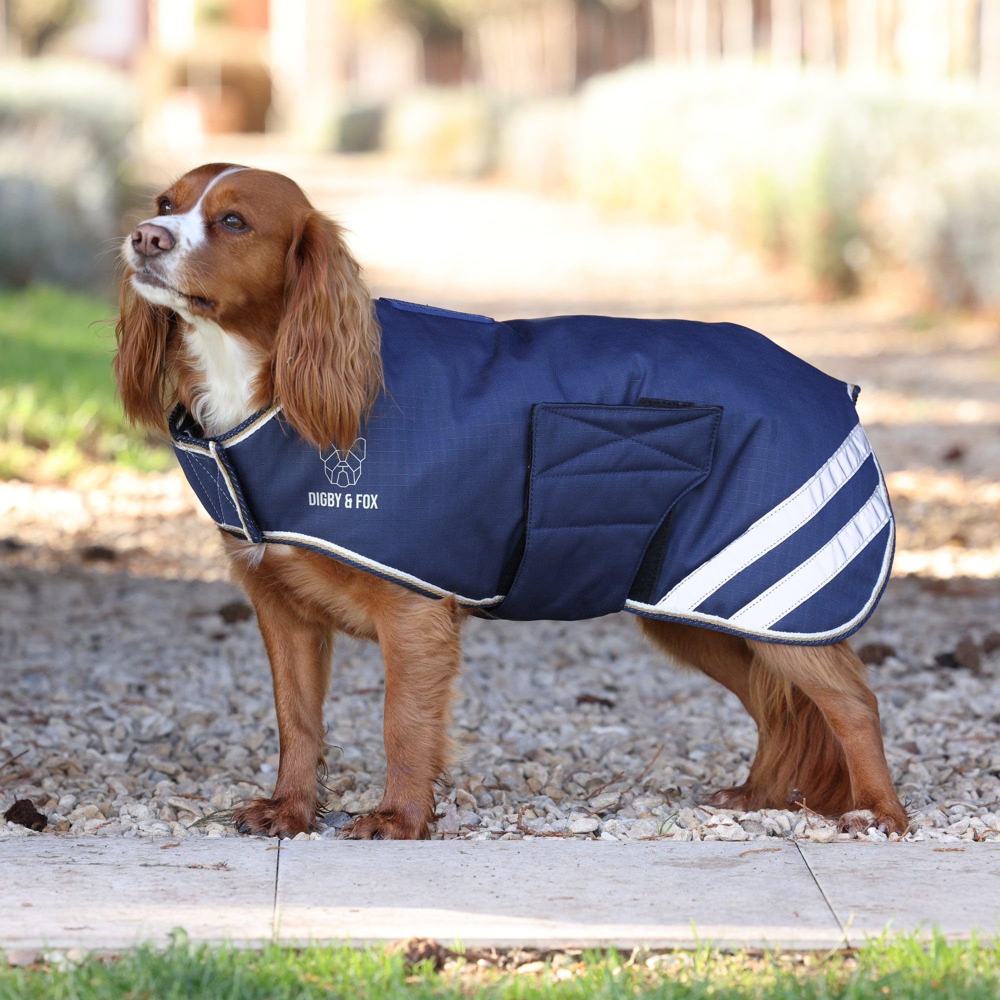Shires Digby & Fox Lite Waterproof Dog Coat - Navy Blue
