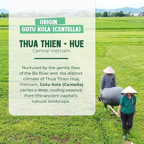 Miniatura 6 de VieTreasures Té Centella, 40 bolsas de té, centella natural y manzanilla. Sin cafeína, sin azúcar, sin gluten, infusión de hierbas dulces suaves